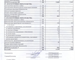 Бухгалтерский баланс за 2019 год-2