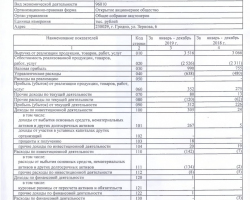 Бухгалтерский баланс за 2019 год-3