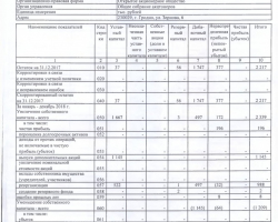 Бухгалтерский баланс за 2019 год-5