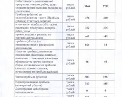 Годовой отчет за 2019 год-2