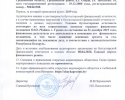 Годовой отчет за 2019 год-3