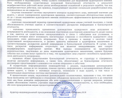 Аудиторское заключение за 2019 год-2